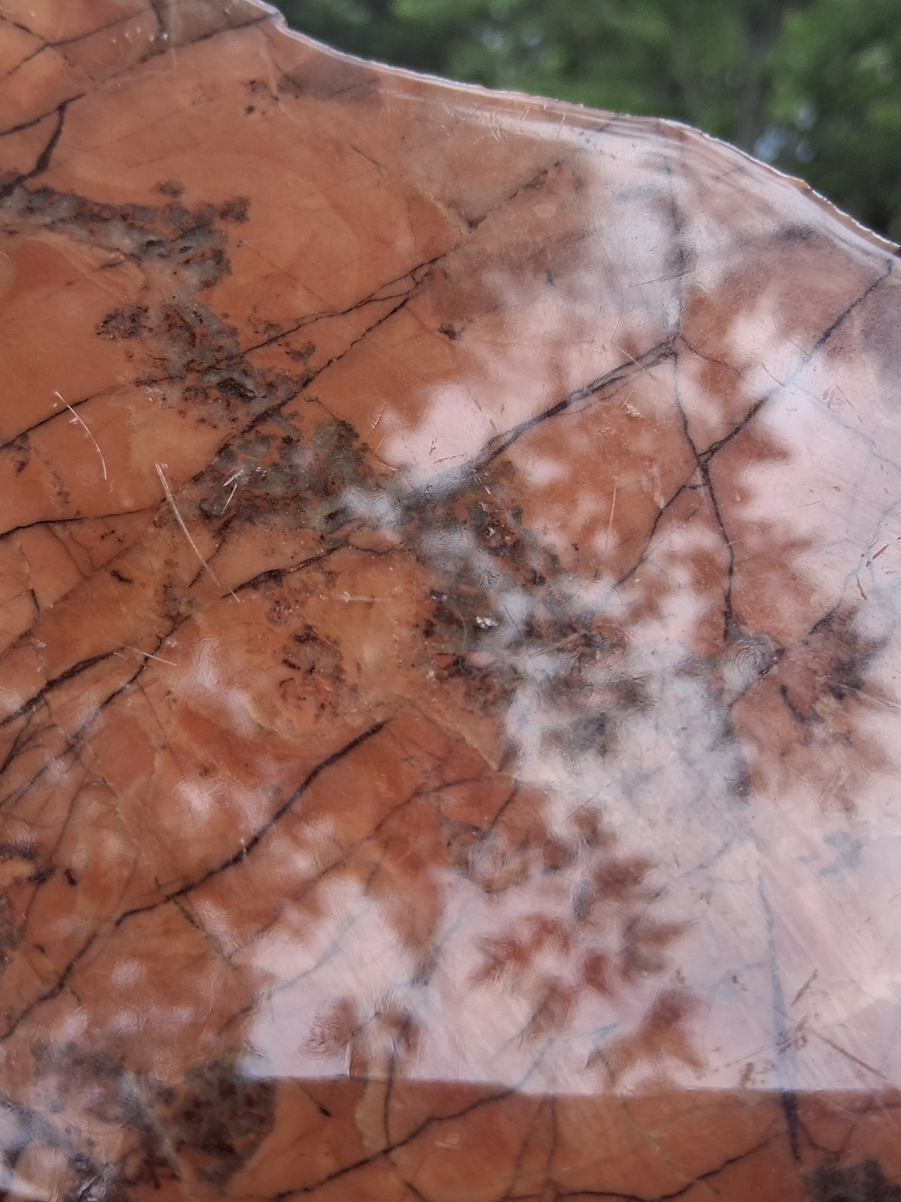 Kona Dolomite Polished Slab Display 8.5" Stone Rock Specimen Michigan - Picture 8 of 10